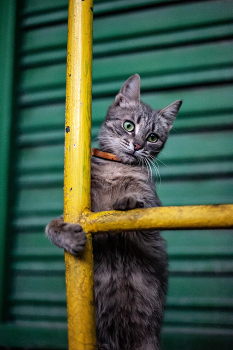  / Nikon D 700 + Nikon 50 mm 1.8