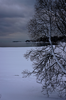 Winterschlaf / ***