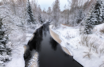 Forest River / ***