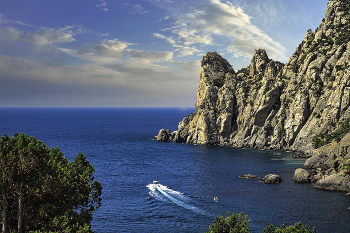 Cape Huhn / ***
