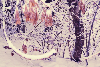 Nach Schneefall / ***