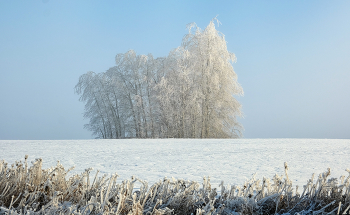 Winter-Etüde / ***