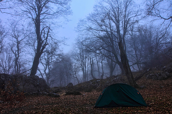 Nebliger Morgen / ***