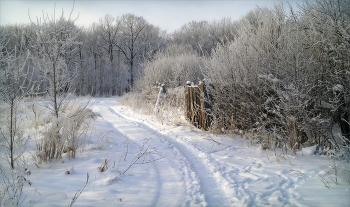 Rime / ***