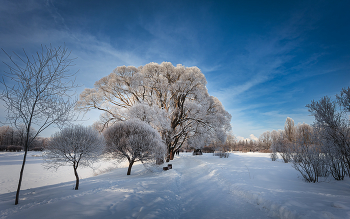 Im Winter Park ... / ***