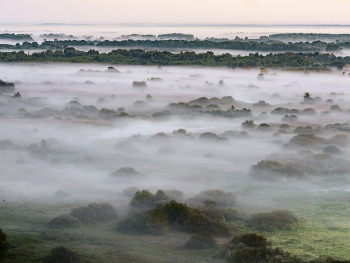 Nebel zerstreut / ***