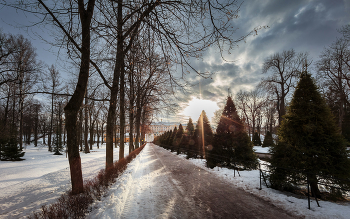 Im Winter Park ... / ***