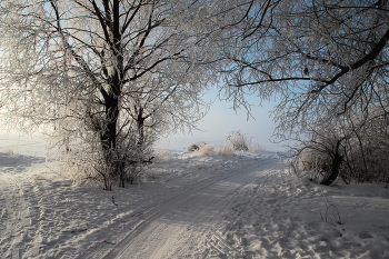 Fabulous Morgen / ***