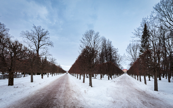 Im Winter Park ... / ***