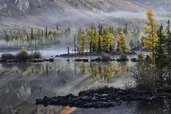 Morgen auf dem See. / ***