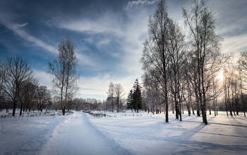 Im Winter Park ... / ***