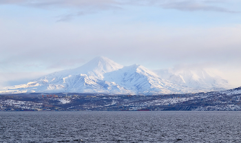 In the winter fog / ***
