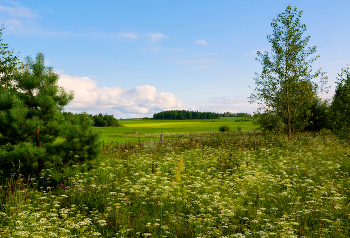 Sommer kommt bald / ***