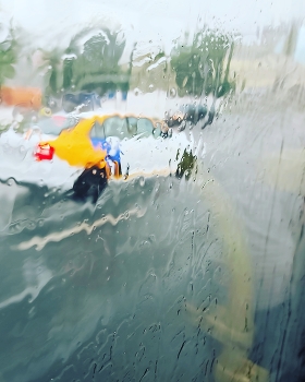 Regen / ***