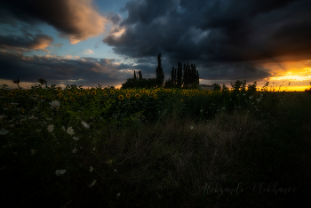 Abend / ***