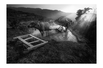  / "Rice&Icon of Vietnam" B&W art photo project