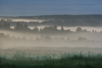 Nebliger Morgen / ***