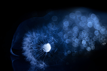 Impetuous / 2023