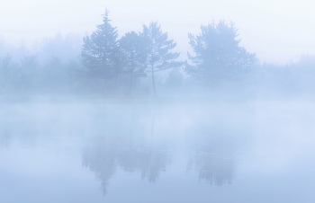 Sommer-Nebel / ***