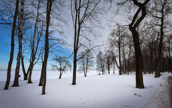 Im Winter Park ... / ***