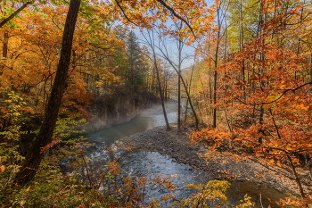 Herbst / ***