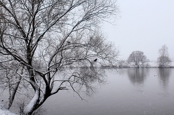 Landschaft. / ***