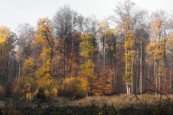 Herbstfarbe / ***