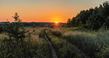 Sommerabend. / ...