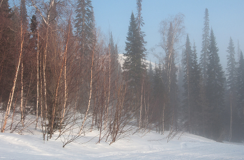 Morgen-Weg / ***