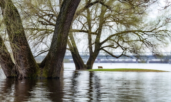 Spring Island / ***