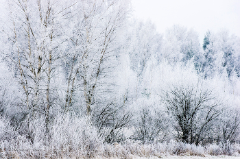 November. / ***