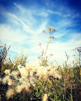am Himmel / ***