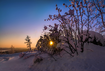 die Morgensonne / ***