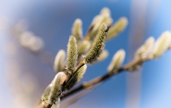 Frühling. / 02-04-2023.
