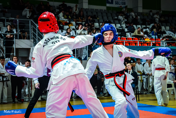 Taekwon-do / ***