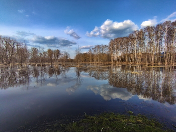High-Water- / ***