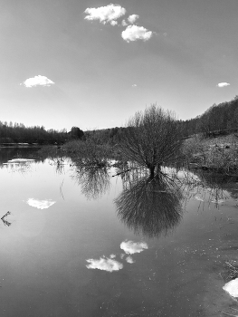Leben rund um / ***