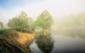 Nebel zerstreut / ***