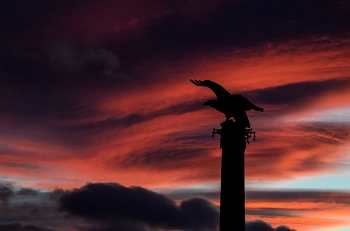 Abend / ***