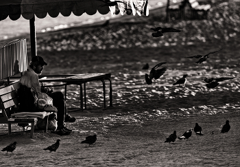 Liebe und Tauben / ***