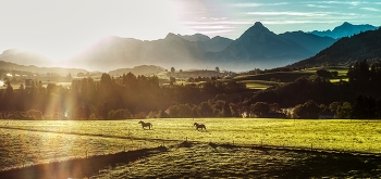 Sonnenaufgang / Sonnenaufgang im Allgäu