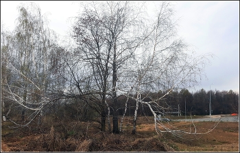 Auf der Straße / ***