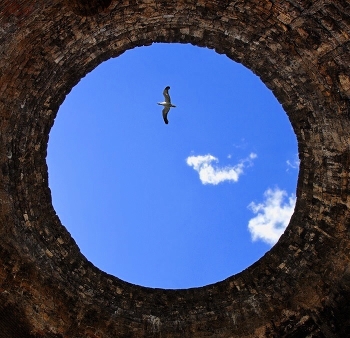 Flug / ***