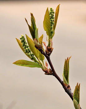 Erwachen / ***