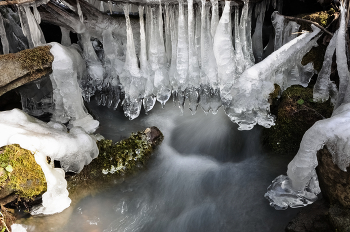 Icy creek / ***