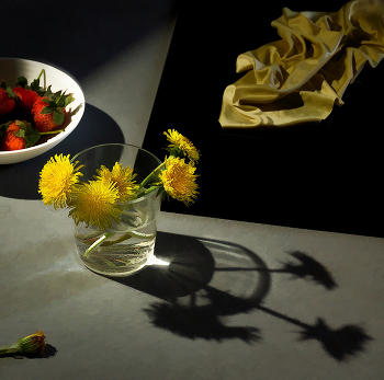 Frühlingsbilder / ***
