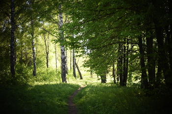 im Park / ***
