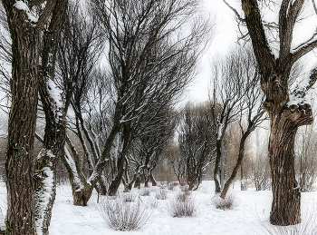 In Winter Park / ***