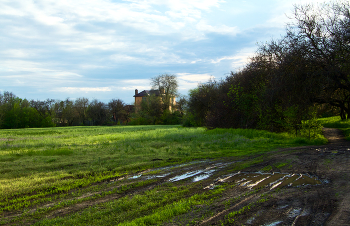 Gras in der Nähe des Hauses / ...