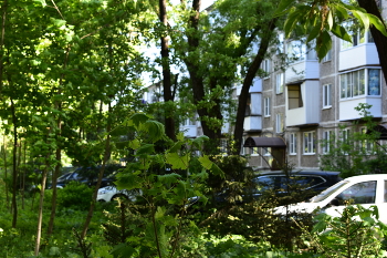 Straße / ***